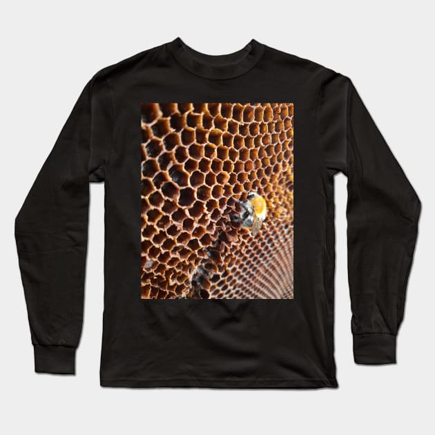 bumblebee Long Sleeve T-Shirt by SBdesisketch